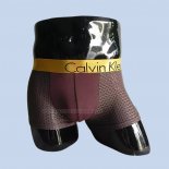 Boxer Calvin Klein Homme Marron