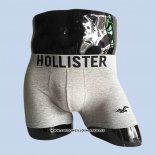 Boxer Hollister Hombre Gris