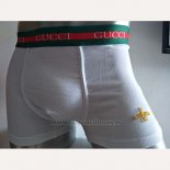 Boxer GC Hombre Verde Blanco